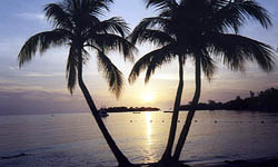 Sonnenuntergang auf Jamaika